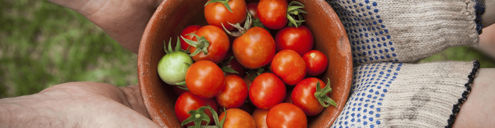 从田间到餐桌的全方位高级猎头搜索